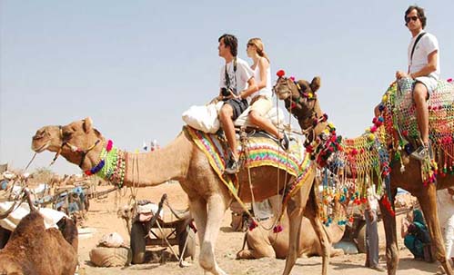 IEFF Jaipur Tour: Camel Ride