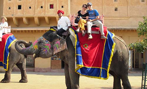 IEFF Jaipur Tour:Elephant Ride